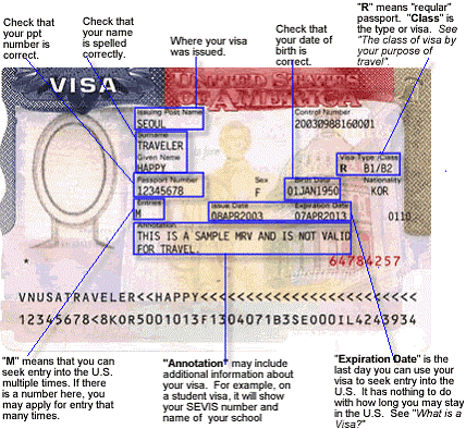 Visa Card Examplesome text
