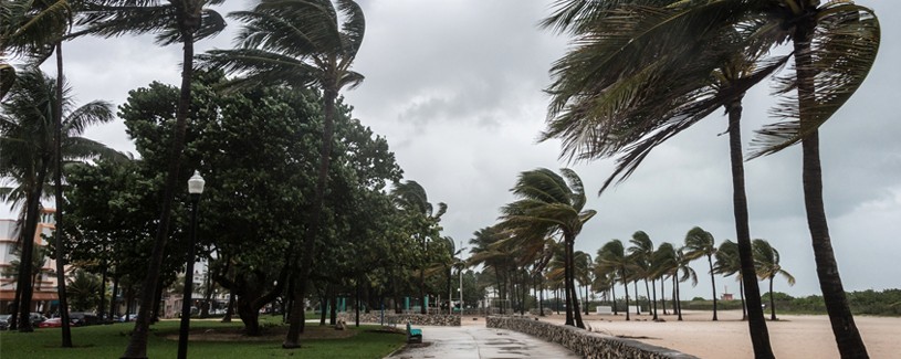 Emergencies Landing Page